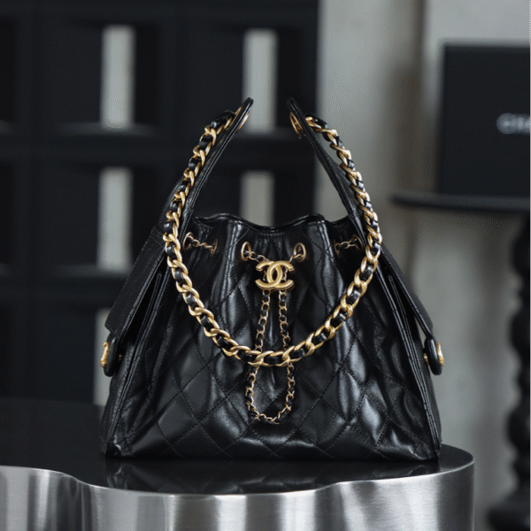 CHANEL 25s hobo bag